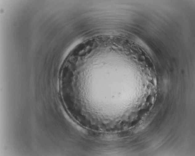 X0000063521095200601271829