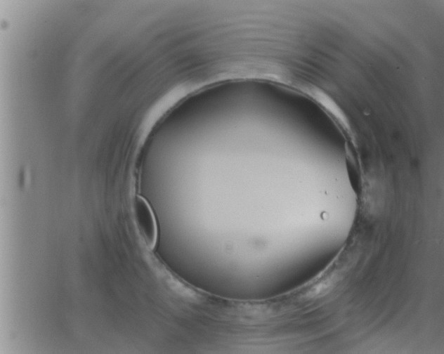 X0000063521096200601271829