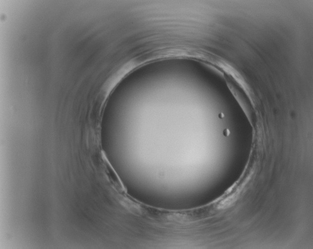 X0000063521097200601271829