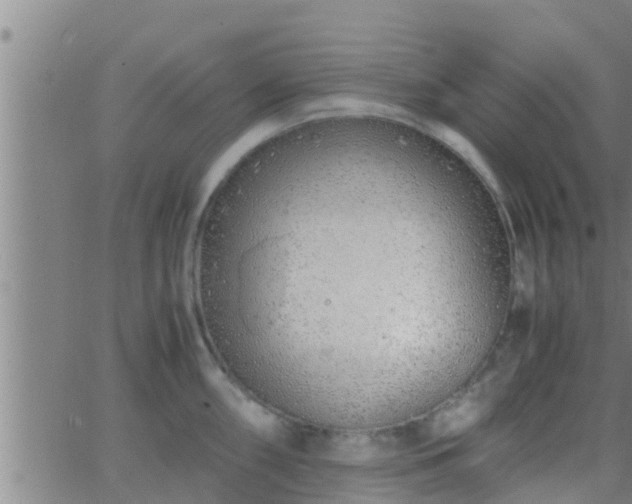 X0000063521098200601271829