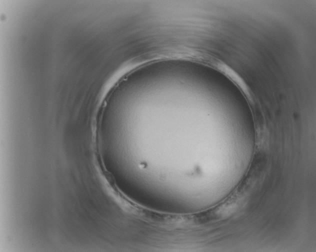 X0000063521099200601271829