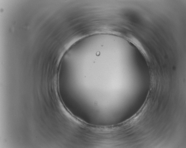 X0000063521100200601271829