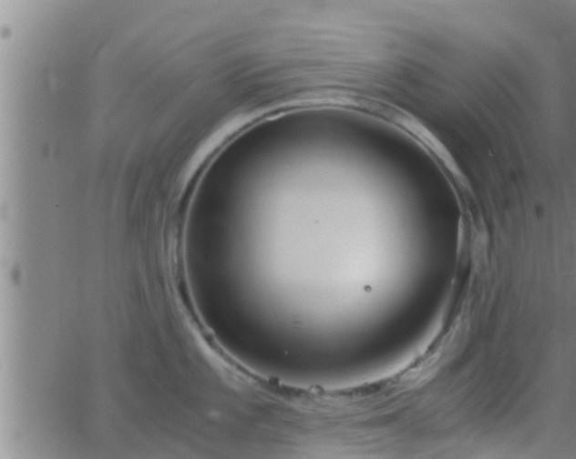 X0000063521101200601271829