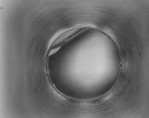 X0000063521102200601271829