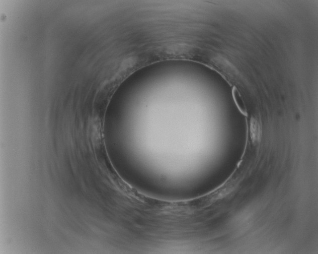 X0000063521107200601271829