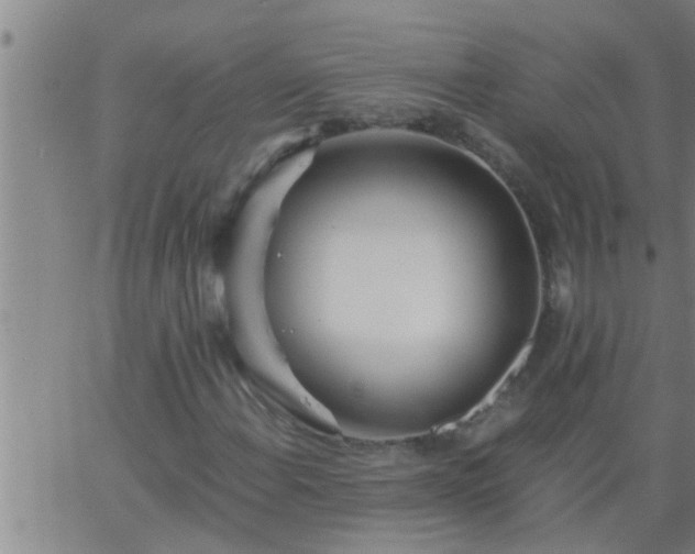 X0000063521108200601271829