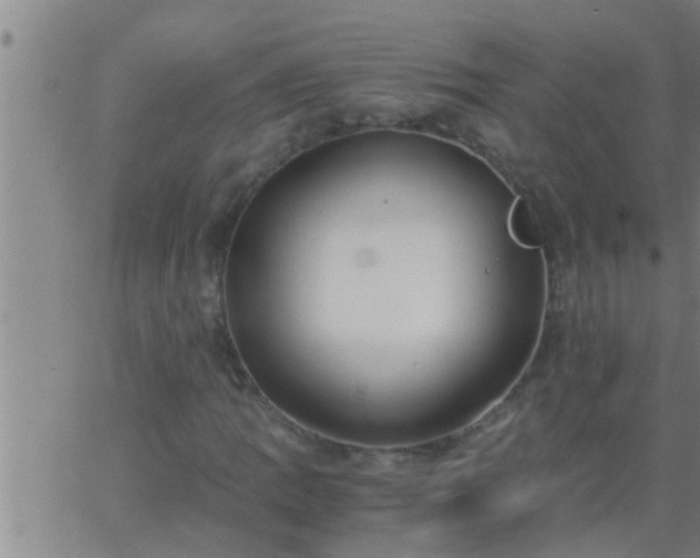 X0000063521109200601271829