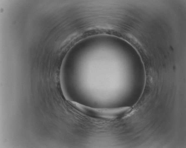 X0000063521110200601271829