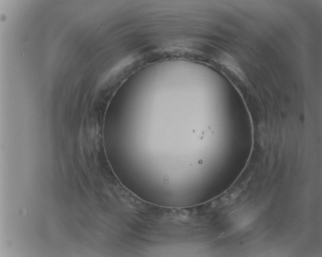 X0000063521111200601271829