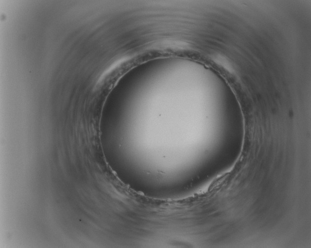 X0000063521112200601271829