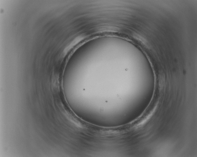 X0000063521113200601271829