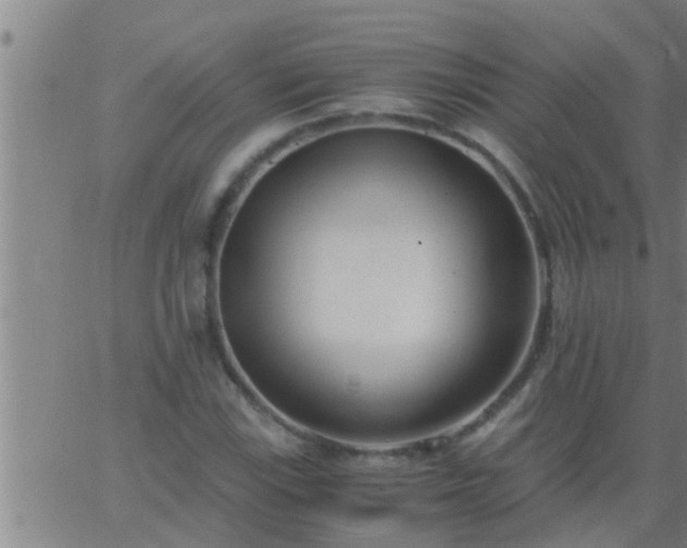 X0000063521115200601271829