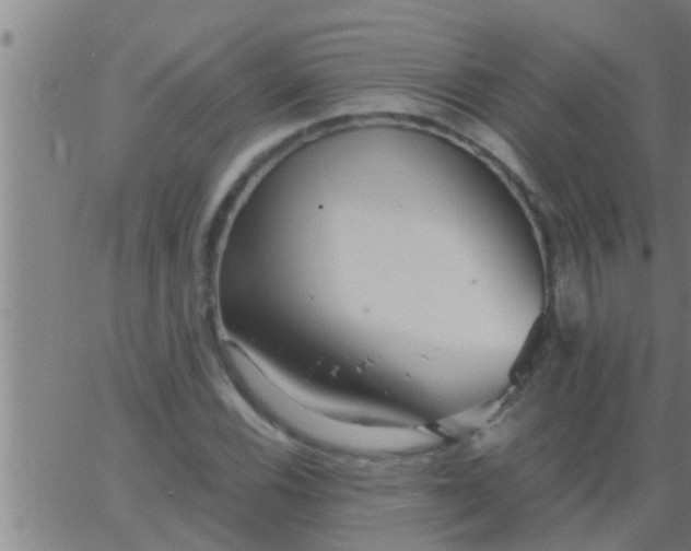 X0000063521116200601271829