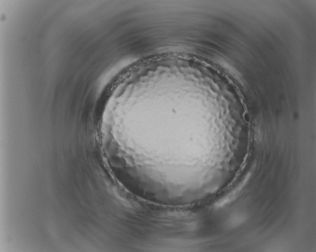 X0000063521117200601271829