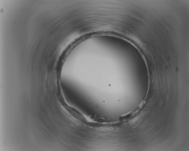 X0000063521118200601271829