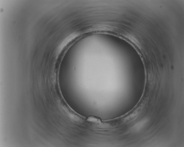 X0000063521119200601271829