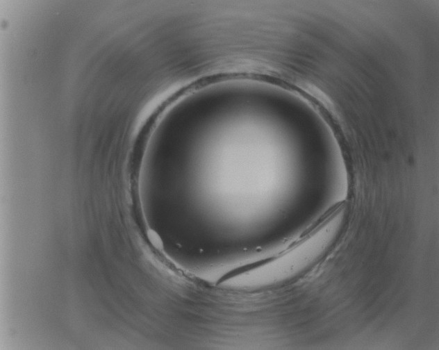 X0000063521120200601271829