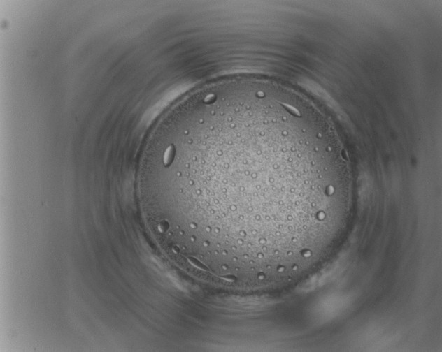 X0000063521121200601271829