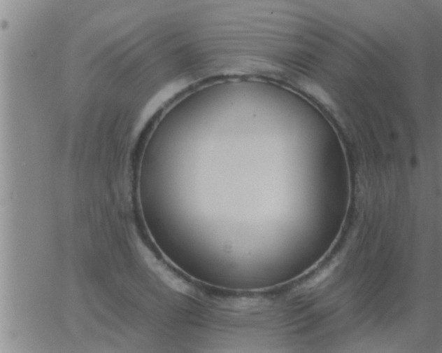 X0000063521122200601271829