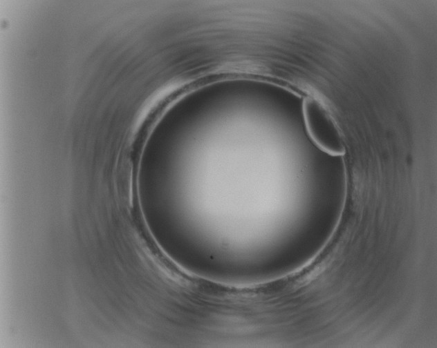 X0000063521123200601271829