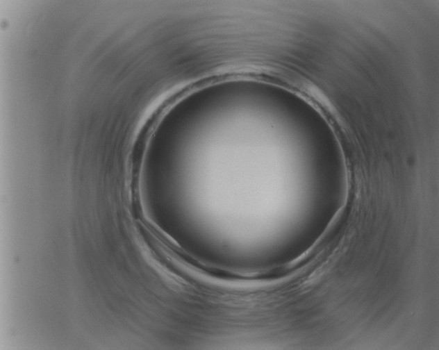 X0000063521124200601271829