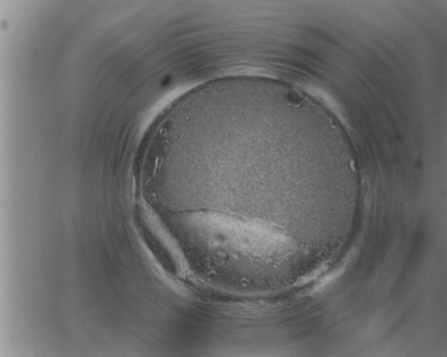 X0000063521125200601271829