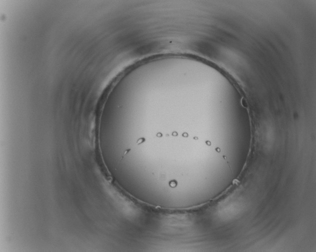 X0000063521126200601271829