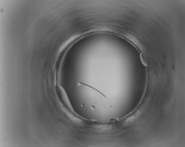 X0000063521127200601271829