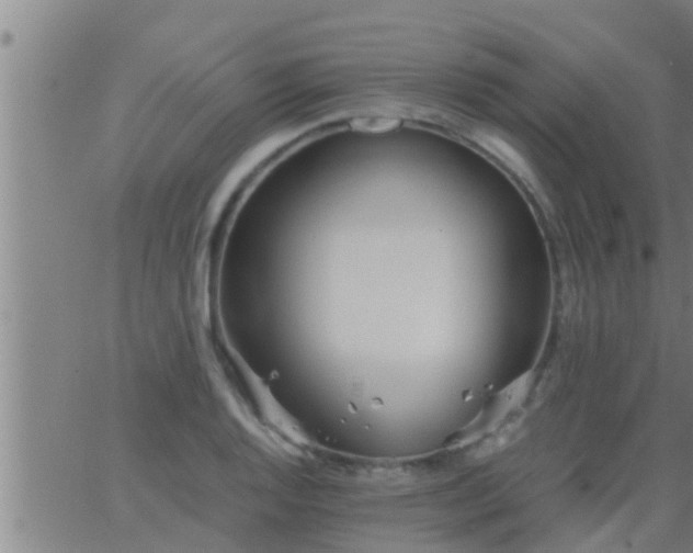 X0000063521128200601271829