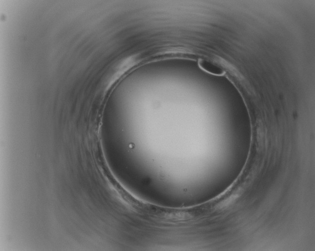 X0000063521129200601271829