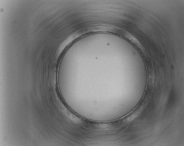 X0000063521130200601271829