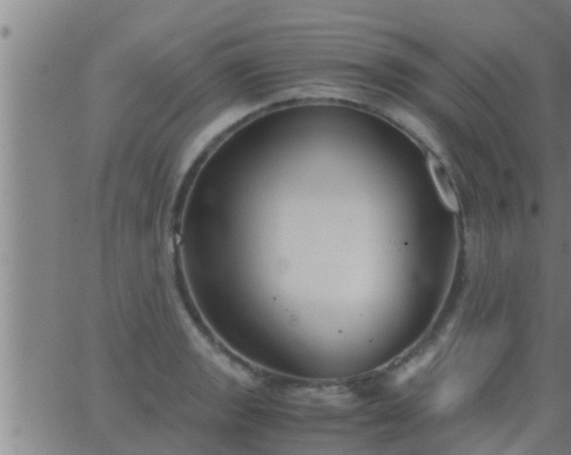 X0000063521133200601271829