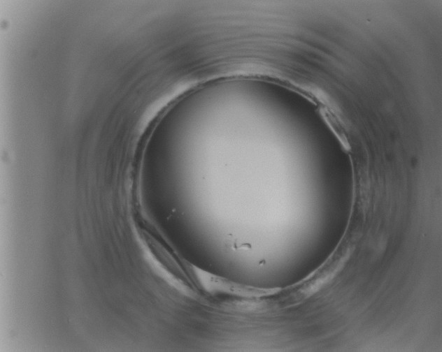 X0000063521134200601271829