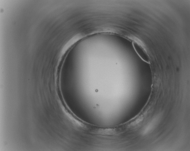 X0000063521135200601271829