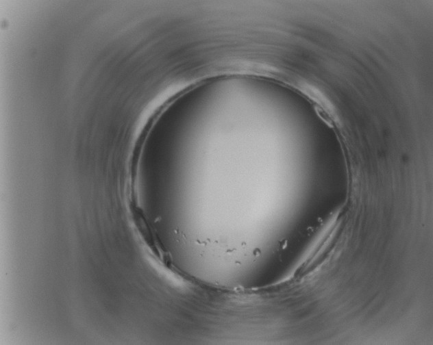 X0000063521136200601271829