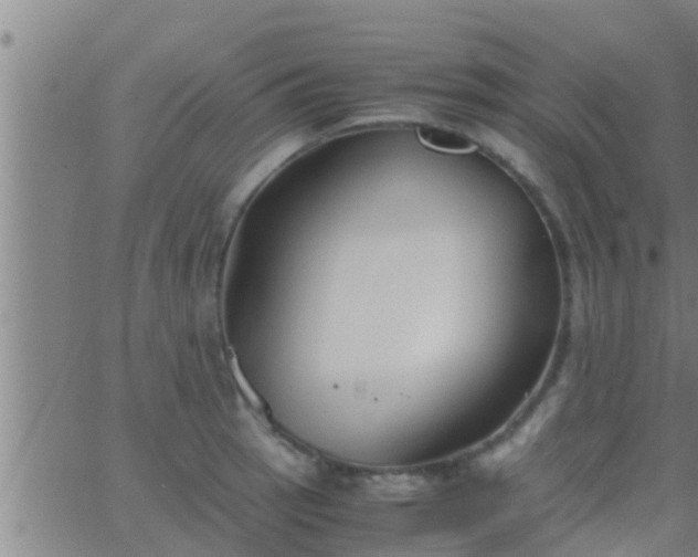 X0000063521137200601271829