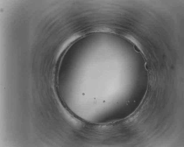 X0000063521139200601271829