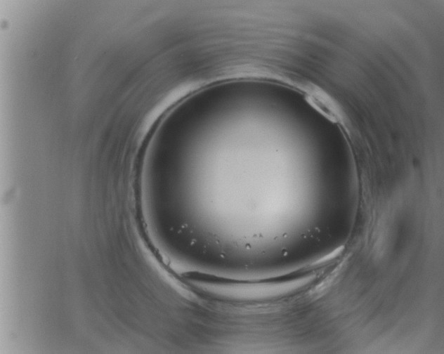 X0000063521142200601271829