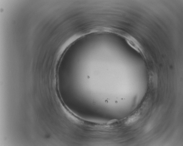 X0000063521143200601271829