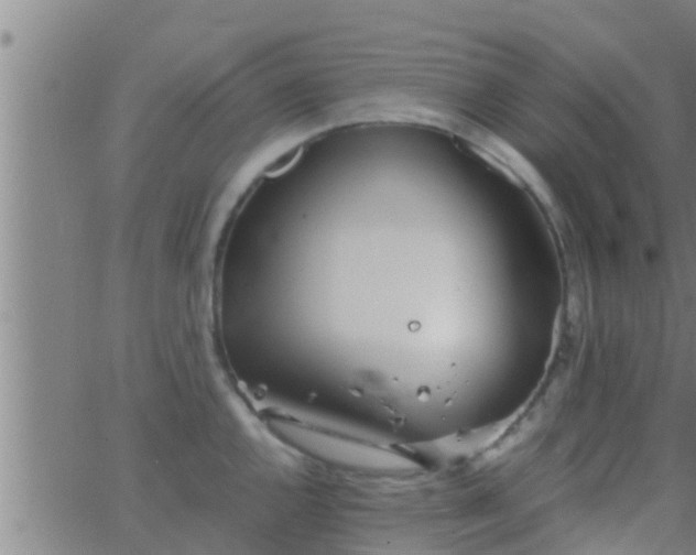 X0000063521144200601271829