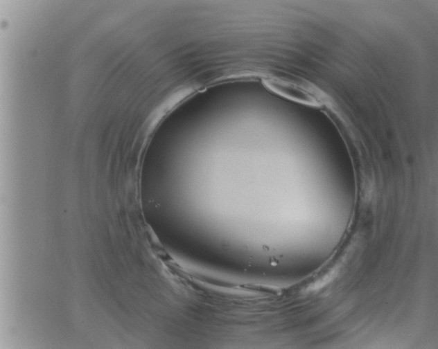 X0000063521145200601271829