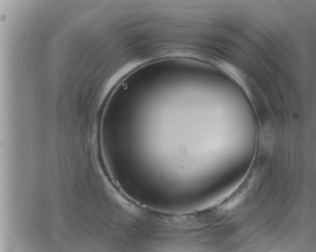 X0000063521149200601271829