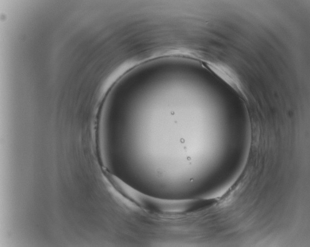 X0000063521151200601271829