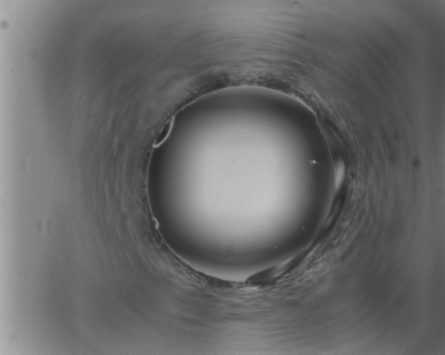 X0000063521153200601271829