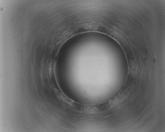 X0000063521154200601271828