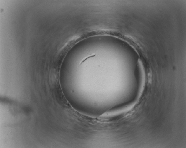 X0000063521157200601271828