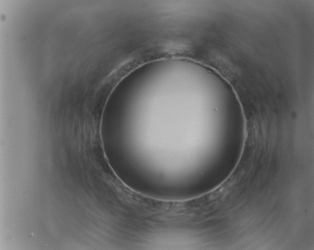 X0000063521158200601271828