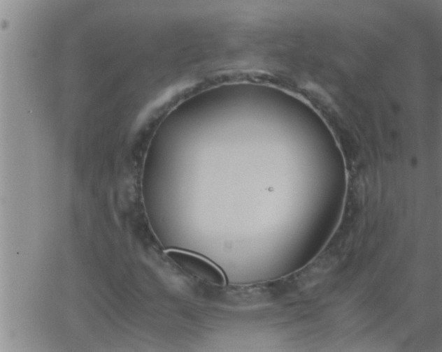 X0000063521159200601271828