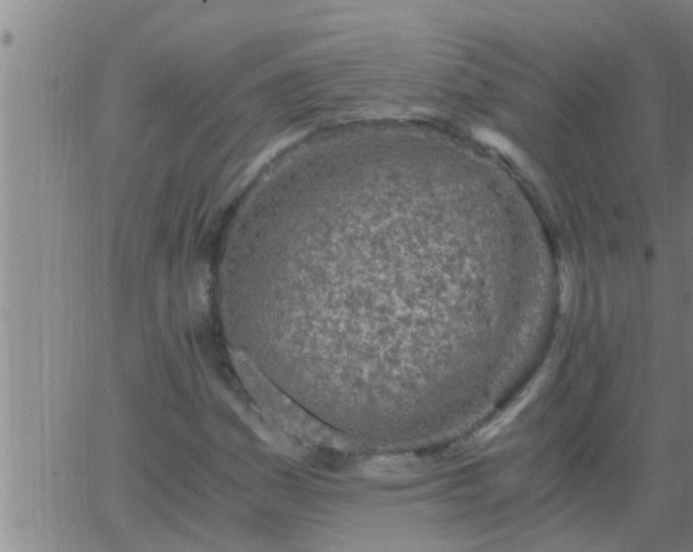 X0000063521161200601271828