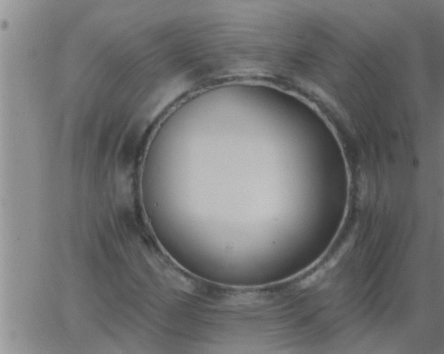 X0000063521162200601271828